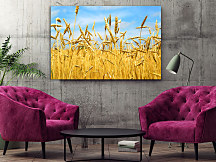 Obraz Pšeničné pole 1503